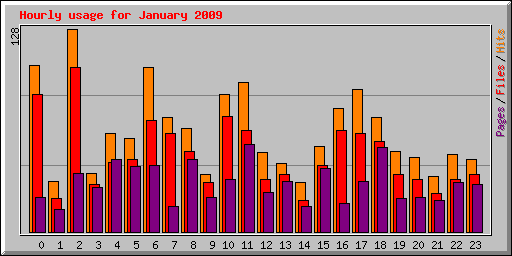 Hourly usage for January 2009